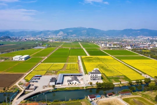 高標(biāo)準(zhǔn)農(nóng)田典型案例集錦丨“豐景”，在希望的田野